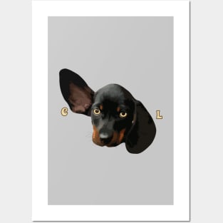 Cool Dachshund Wiener Dog Posters and Art